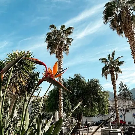 Alpujarra Secret By Eme (adults Only) Apartment